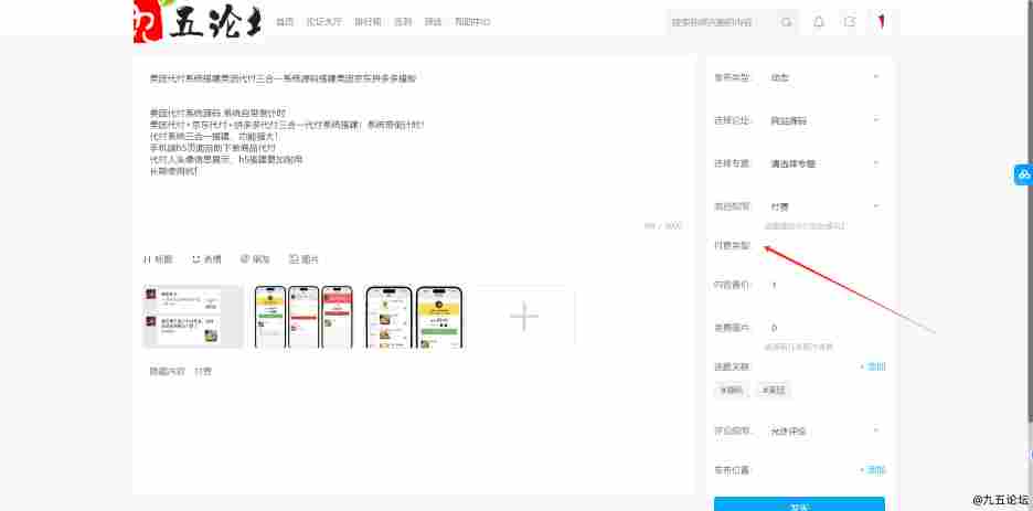 电脑端发帖bug，帖子付费类型是金币还是现金，积分